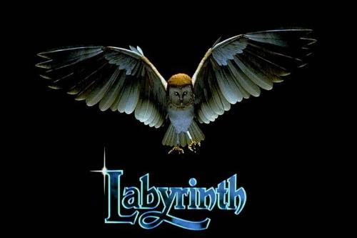 Labyrinth - a fantasy film by Jim Henson, the story revolves around Sarah's quest to rescue her little brother from Jareth the Goblin King.
