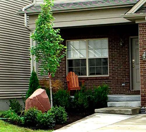 This is not my front yard - mine looks much worse and that's a fact, that's why I need to do something about it :)