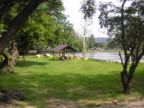 Subic Getaway - Field trip October 2006 - This was taken from the inside of the bus during our field trip to Subic. It's some kind of a park near an intersection. The bus was moving when I took this, and voila, that's the result.
