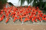 shaolin temple 02 -  welcome to sholin temple.