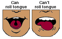 Image result for cartoon tongue rolling
