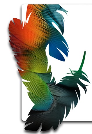 Feathers - This is a photoshop feathers