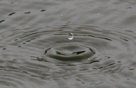 Water drop - Water drop falling on a river