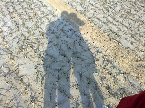 My wife and I - Can you imagine what thing we were doing? The photo was took when I was at my hometown during 2011 Spring Festival (Chinese New Year).