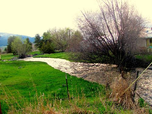 A country creek - One of many of the lovely creeks here:)
