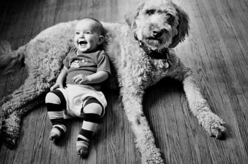 friend - A person is difficultly make friend with other people, but easily to trust in some animals. Why?