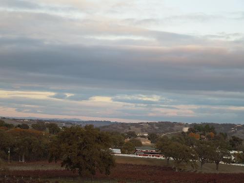 Wine Country at Twilight - This was taken at the Veris vineyard on Thanksgiving evening about 5PM.