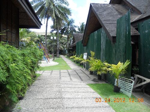Philippines' beauty - From the wonderful place in Bohol!