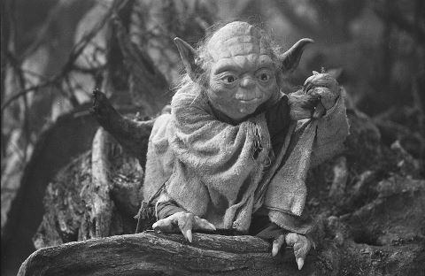 Yoda - The mentor to Luke Skywalker and Star War charecter. Frank Oz did his voice and was the Muppeteer for Yoda. In the Star Wars Episode I,II and II,sometimes he is computer genurated.