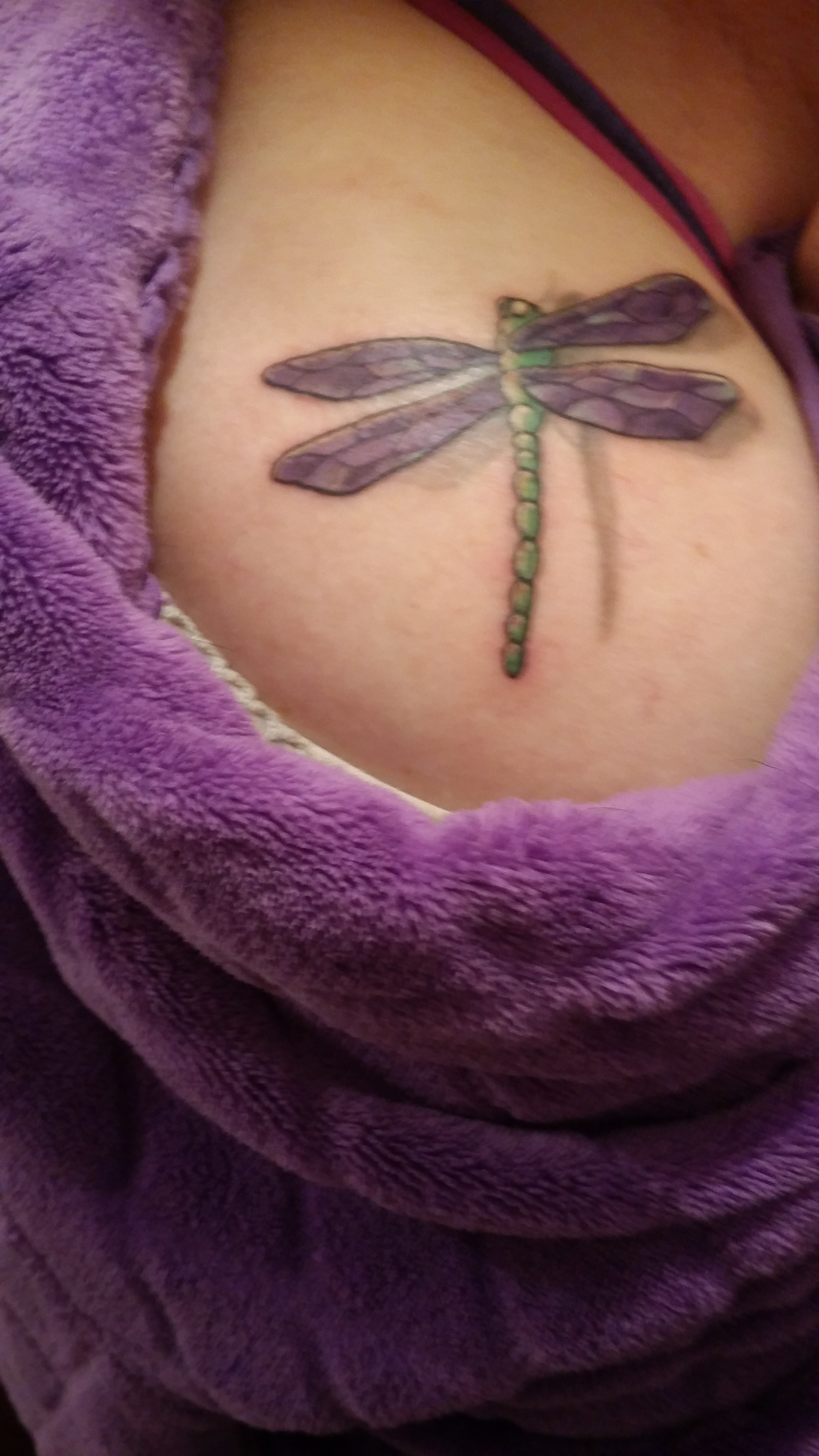 my tommy dragonfly tattoo mylot my tommy dragonfly tattoo mylot