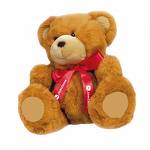 Teddy - Teddy Bear