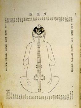 acupressure charts - chineese acupressure charts - chinese holistic healing therapy