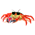 Crab - A baked crab!