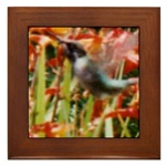 Birthlady Art - I took this photo of a hummingbird. Holidays are coming soon...Shop early and help me earn and save money to move home before the holidays! Available exclusively at Art by Cathie...I&#039;m Cathie, the birthlady! http://www.cafepress.com/artbycathie
Thank you!