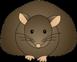 Mouse - Cute, ah? :P