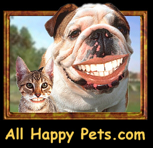 Happy dog - Treats Yeah!