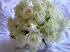 white rose - white rose for a wedding.