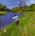 River Slaney in Co Carlow, - River Slaney 
in Co Carlow, 
Ireland