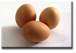 eggs - eggs is a non-veg.