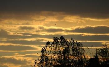 Silvery Sky - Sun behind the clouds creating a beautiful, silvery coloured sky.