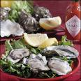 Clams or Oysters - Clams or Oysters are shellfish.
Called filter feeders, oysters and clams eat plankton. By pumping water through their bodies, the mollusks strain the microscopic organisms through their gills, which act as sieves. Clams or Oysters - Clams or Oysters are shellfish.
Called filter feeders, oysters and clams eat plankton. By pumping water through their bodies, the mollusks strain the microscopic organisms through their gills, which act as sieves.