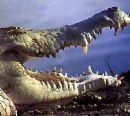 crocodiles - crocodiles crocodiles - crocodiles