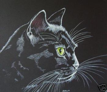 Black Cat - Originally in Britain and Europe, a black cat crossing one&#039;s path was considered good luck; however they were also seen by the church as associated with witches. 
