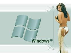 windows xp(experience) - windows from microsoft