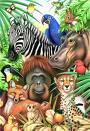 Animals - Various african animals cartoon