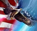 American flag with the Eagle - The pride of the states