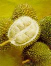 durian - i love durian...it taste so good!