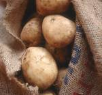 bag of potatoes - bag of potatoes, sack of potatoes. Brown bag with potatoes in it