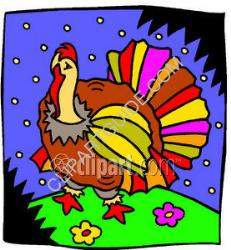 Thanksgiving - Nice turkey.