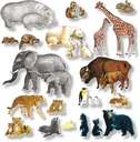 Animals - A collage of different animals
