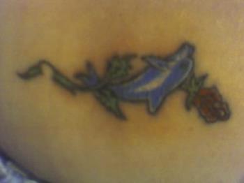 tattoo - my dolphin and rose tattoo