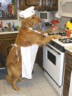 mom, is that you? -
mom, is that you? -