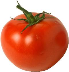tomato - tomato