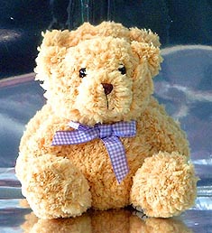 bear - teddy bear my favorite.