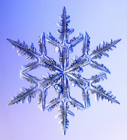 snowflake - every single snowflake is different