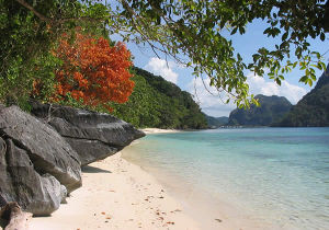 El Nido - El Nido certainly is a magical place. From its ageless towering marble cliffs to its white sandy beaches with crystal clear water, many refer to it as paradise. There are over 50 beaches to discover, so many in fact that sometimes you feel as if you are on your own private private beach. You will also find enthralling lagoons with peaceful turquoise-green water, caves that can take you to hidden beaches, and a very diverse variety of wildlife. El Nido - El Nido certainly is a magical place. From its ageless towering marble cliffs to its white sandy beaches with crystal clear water, many refer to it as paradise. There are over 50 beaches to discover, so many in fact that sometimes you feel as if you are on your own private private beach. You will also find enthralling lagoons with peaceful turquoise-green water, caves that can take you to hidden beaches, and a very diverse variety of wildlife.