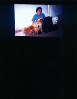me and my dogs -  me amd our dogs at first house we had here in Las VEgas