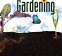 gardening - Gardening is loved by all the peoples in the world.