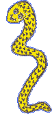 snake - snake
