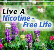 No cigar, No tobaco, No nicotine at all !! - I love people with determination! No cigar, No tobaco, No nicotine at all !! - I love people with determination!