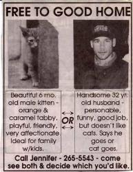 husband and cat - good joke