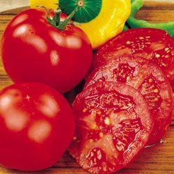 Vegetable - Tomato