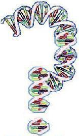 questions - Question mark by DNA&#039;s