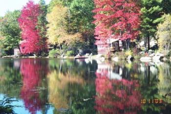 Foliage - This is a lake hidden in the woods in Pittsburg,NH,usa. Foliage - This is a lake hidden in the woods in Pittsburg,NH,usa.