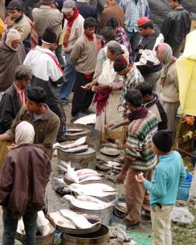 Fish market,assam,india - People enjoying at a Fish market,Guwahati,assam,india
