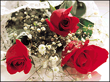 Roses for you - Roses for all romantic people at mylot